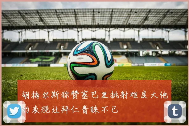 胡梅尔斯称赞塞巴里挑射难度大他的表现让拜仁青睐不已